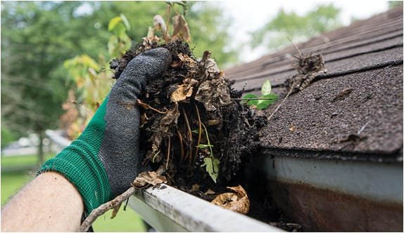 Gutter cleaning