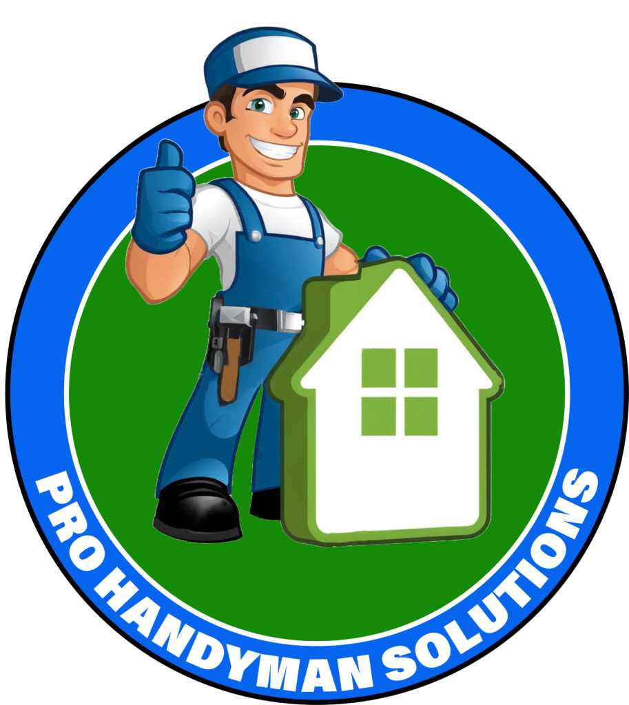 prohandymansolutionsva