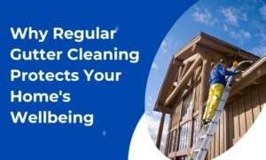 Gutter cleaning, prohandymansolutionsva